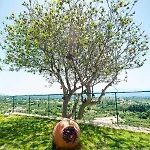 Villa Eftychia - Panoramic Sea View